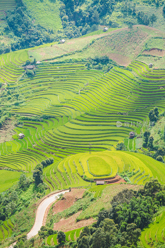 美丽的风景，绿色的稻田准备在越南西北部的梯田日落山在木仓寨，Yen Bai，越南